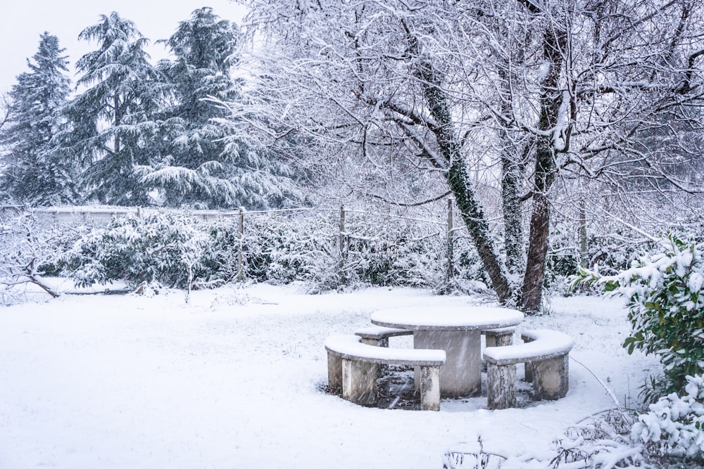 Un banco de parque cubierto de nieve sentado en medio de un bosque