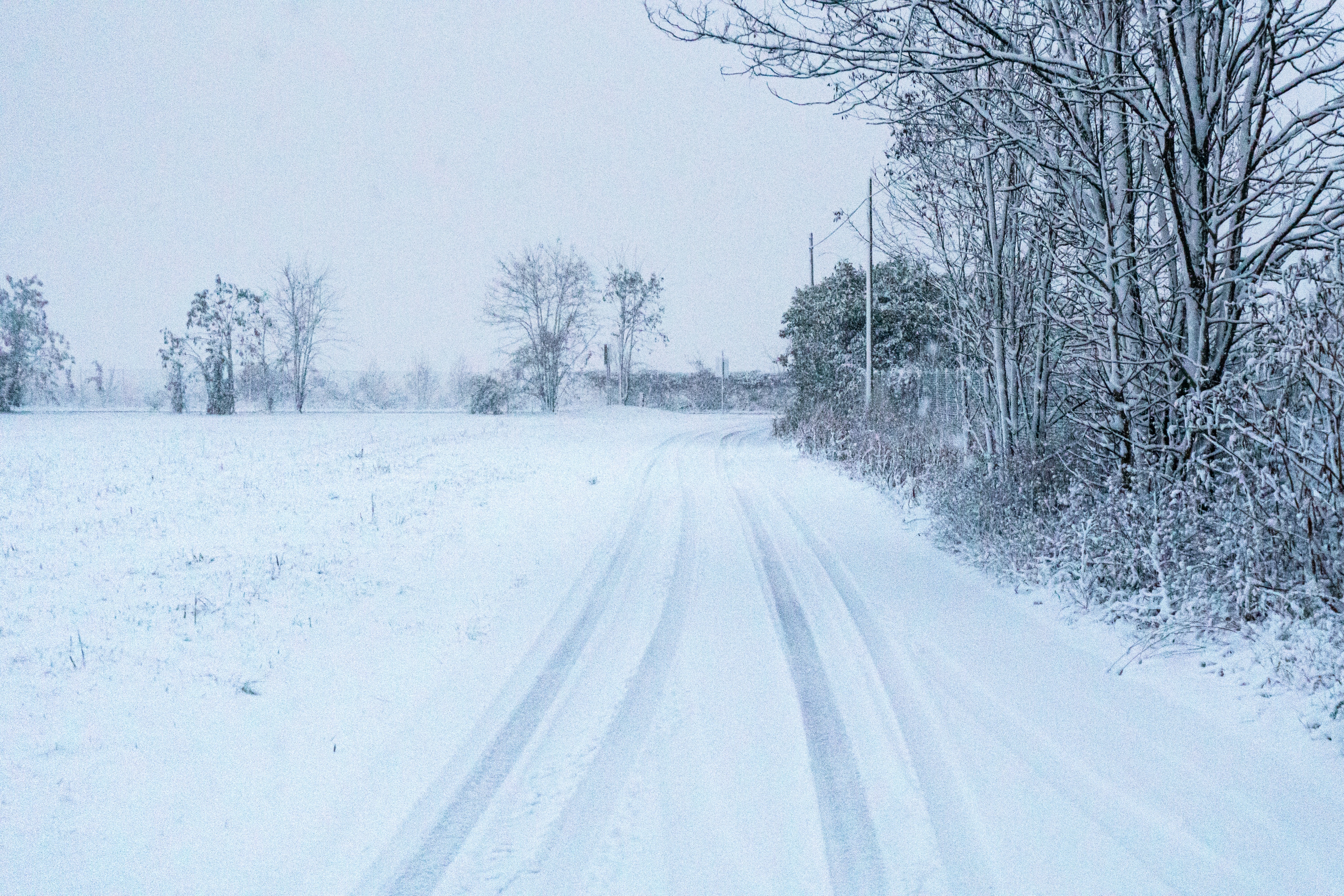 Photo by rickylore24