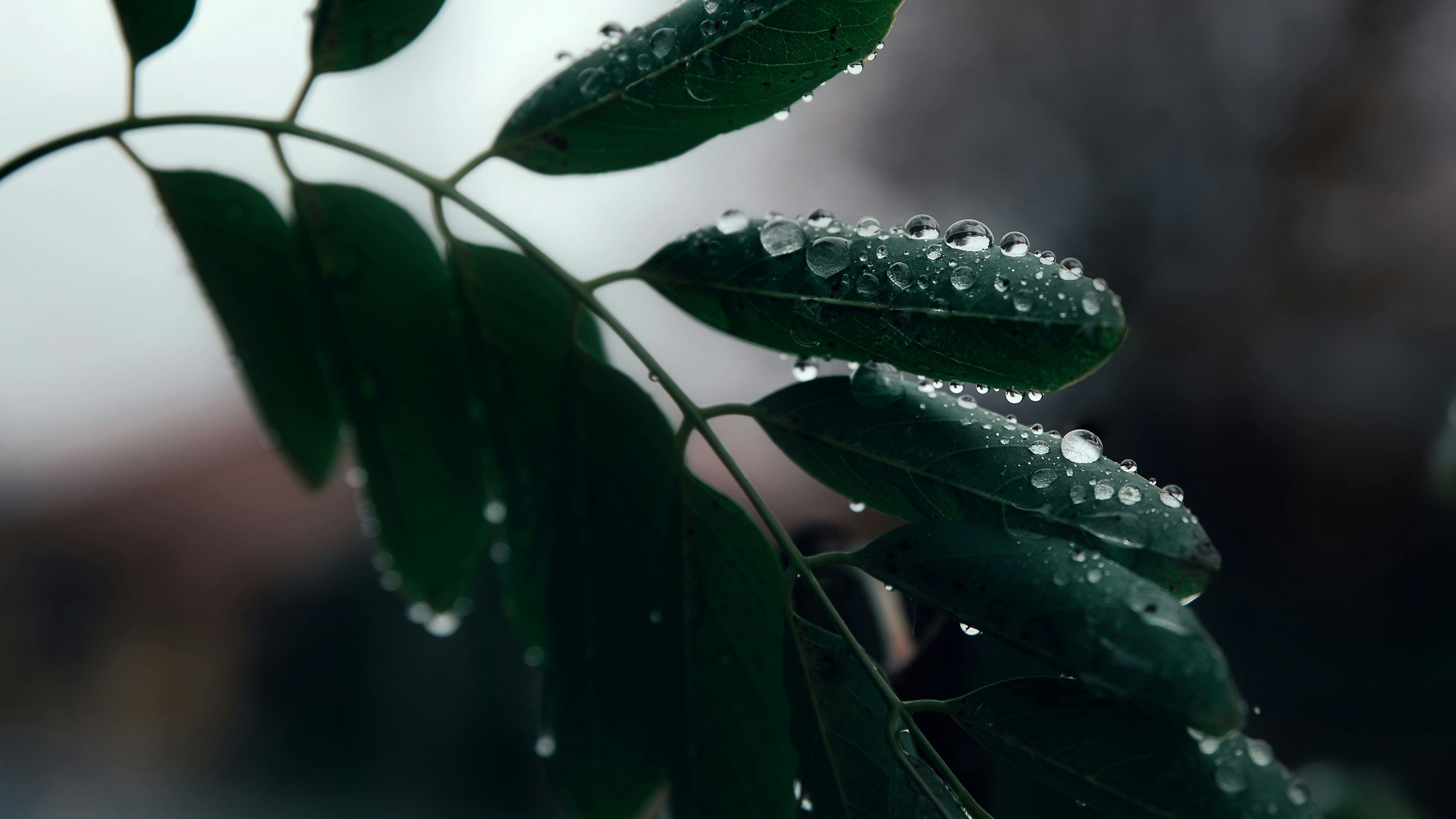 Photo by sylvester_s