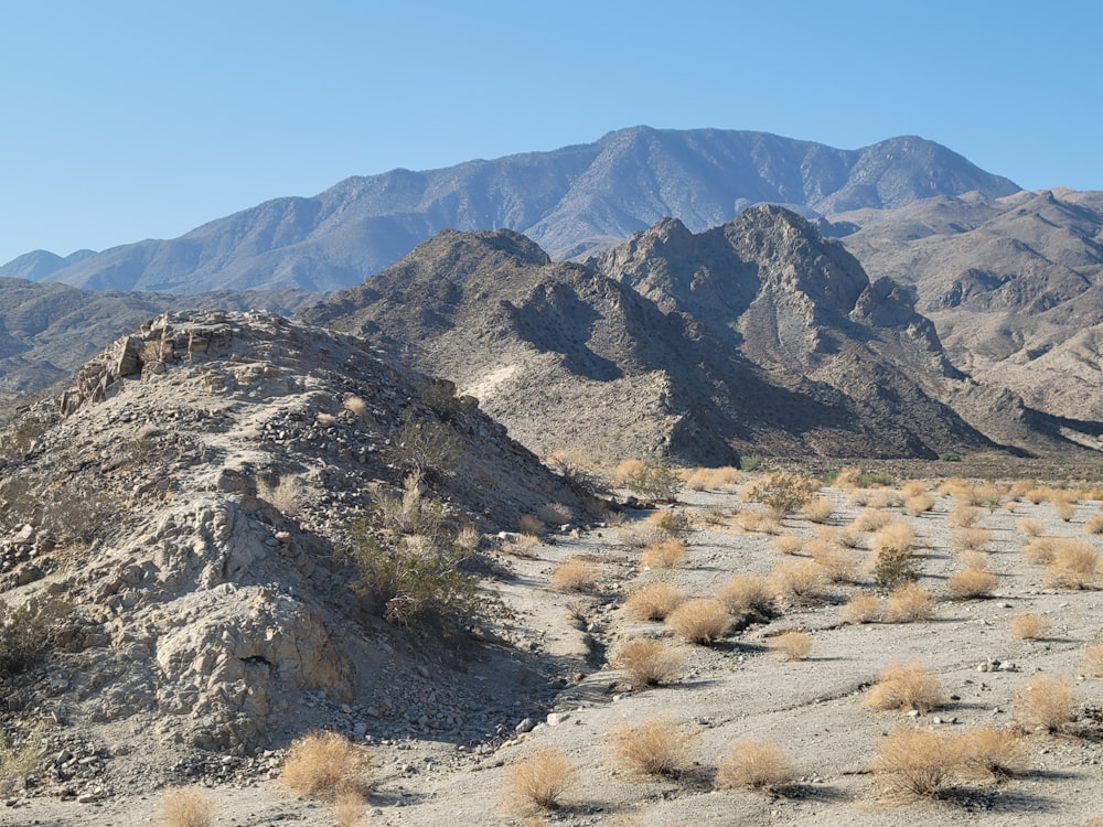 a mountain range in the middle of a desert