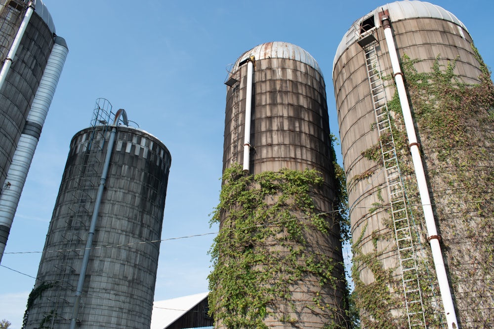 a group of silos with vines growing on them