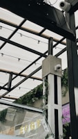 Overhead structure with metal beams and a transparent roof, decorated with string lights and green foliage. Two security cameras are mounted on a column. A partial view of glass panels and letters that spell 'EGG' in yellow can be seen.
