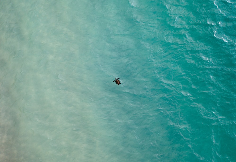 Una persona montando una tabla de surf en medio del océano