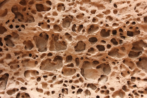 a close up of a rock with holes in it