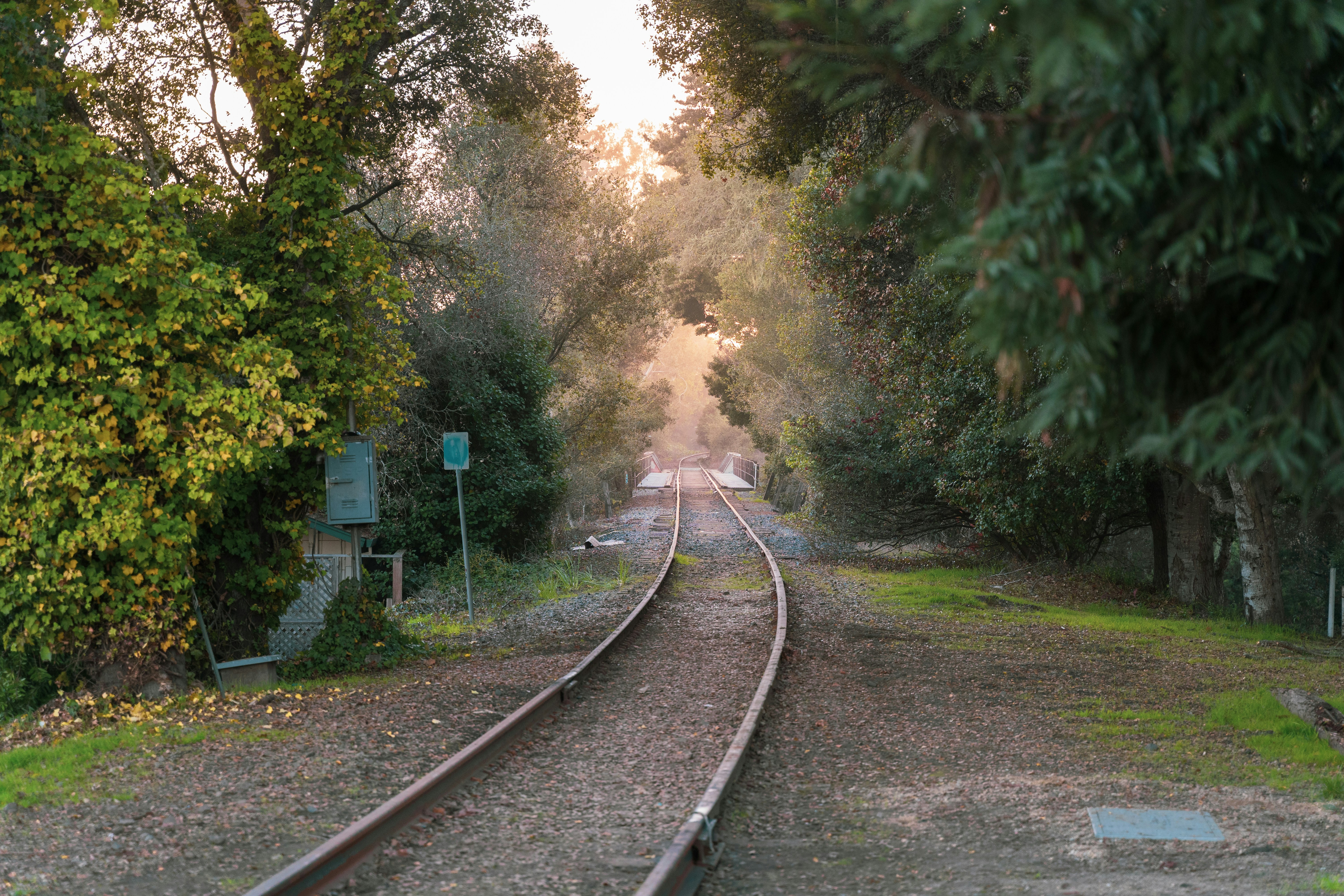 a train track running through a wooded area