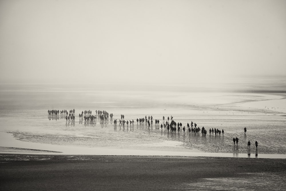 a group of people standing on top of a beach