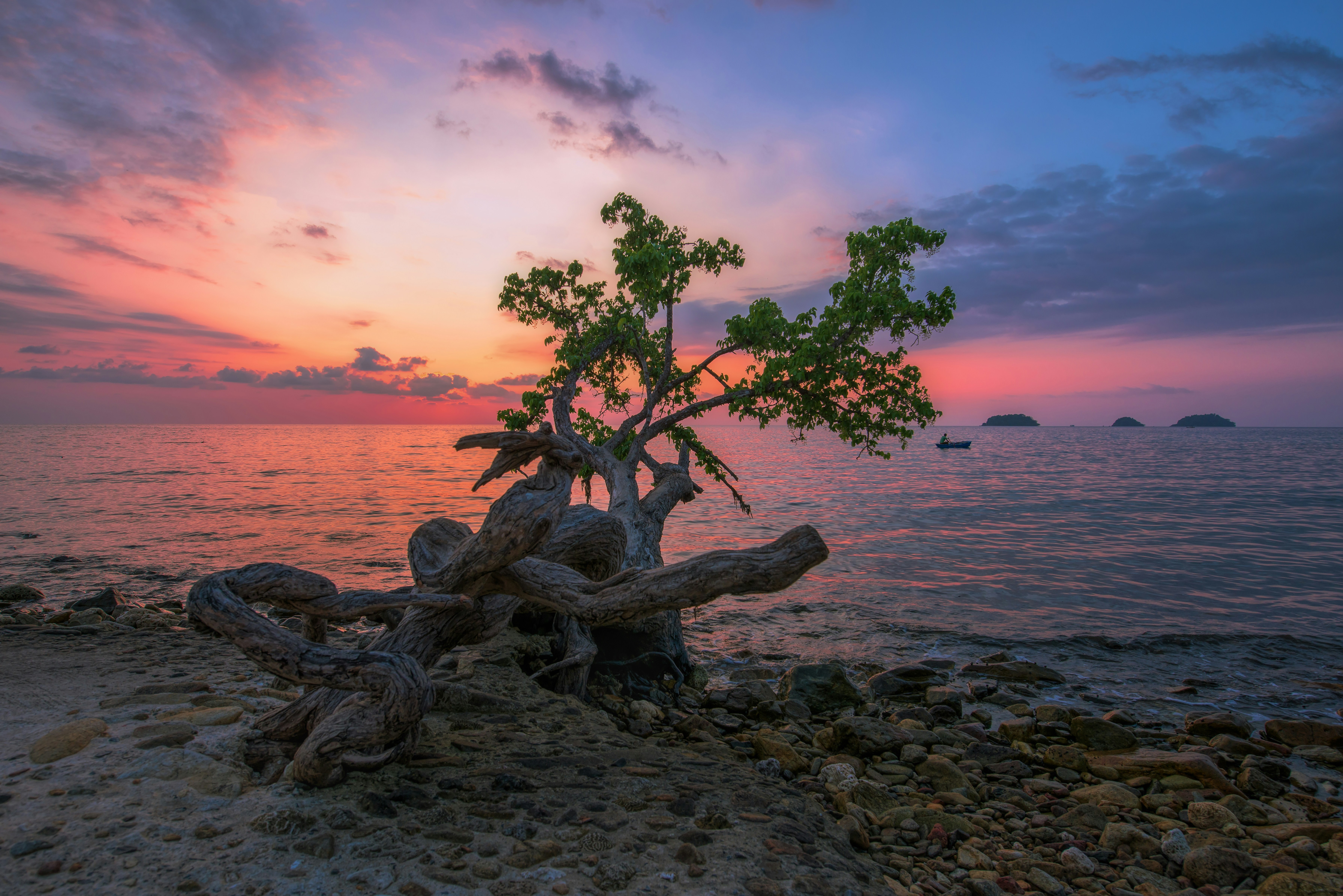 Photo by ryasnyansky