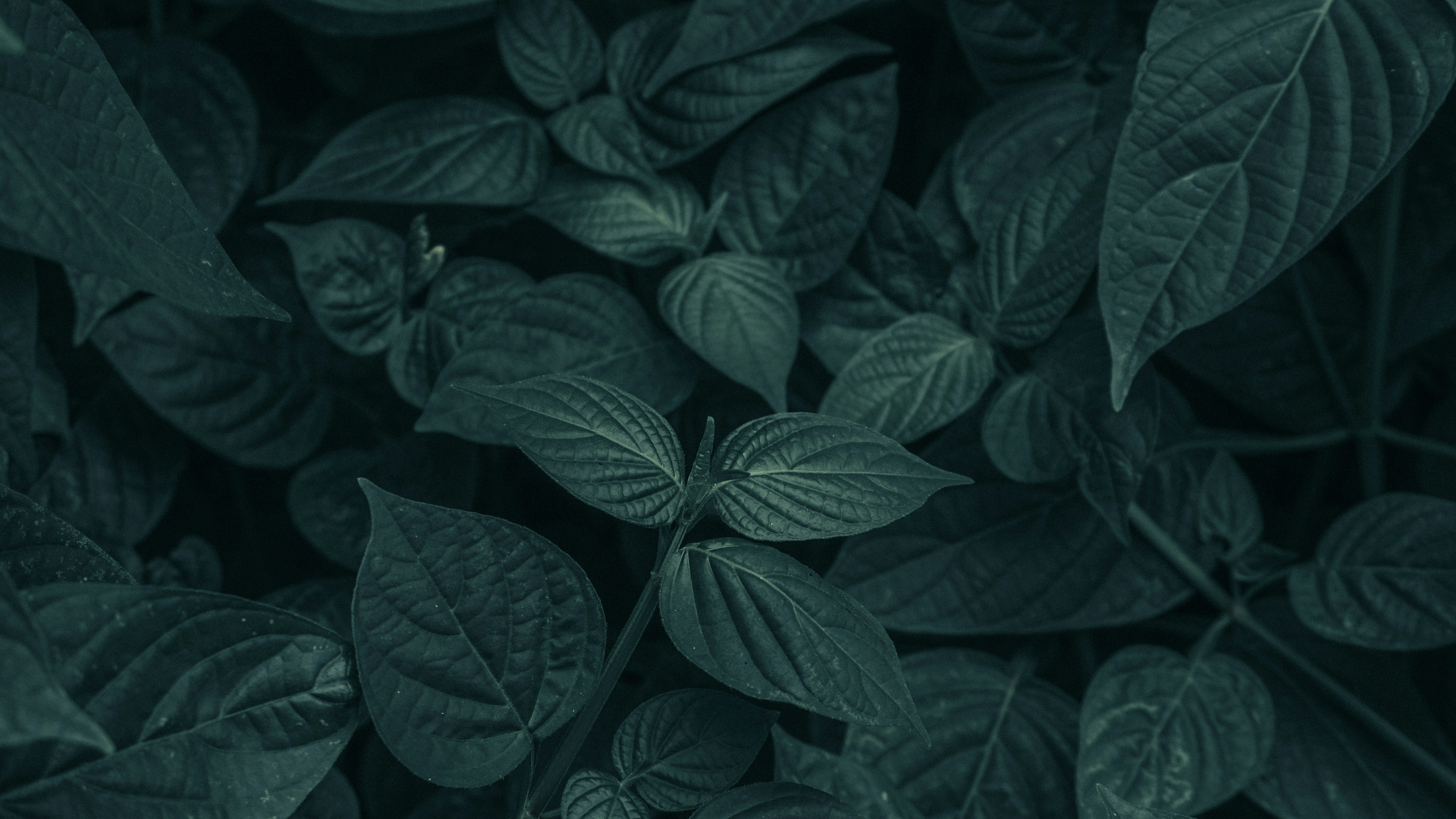 Photo by gatrapixels