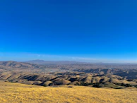 A panoramic view of rolling hills dotted with wildflowers under a clear blue sky.