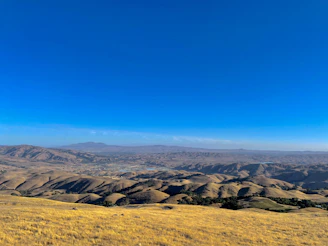 A panoramic view of Rancho El Rosario's lush green land under a clear blue sky.