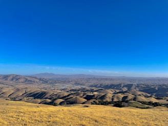 A panoramic view of rolling hills dotted with wildflowers under a clear sky.