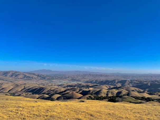 A panoramic view of rolling hills dotted with wildflowers under a clear sky.