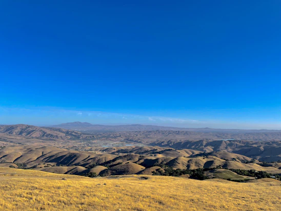 A panoramic view of Rancho El Rosario's lush green land under a clear blue sky.