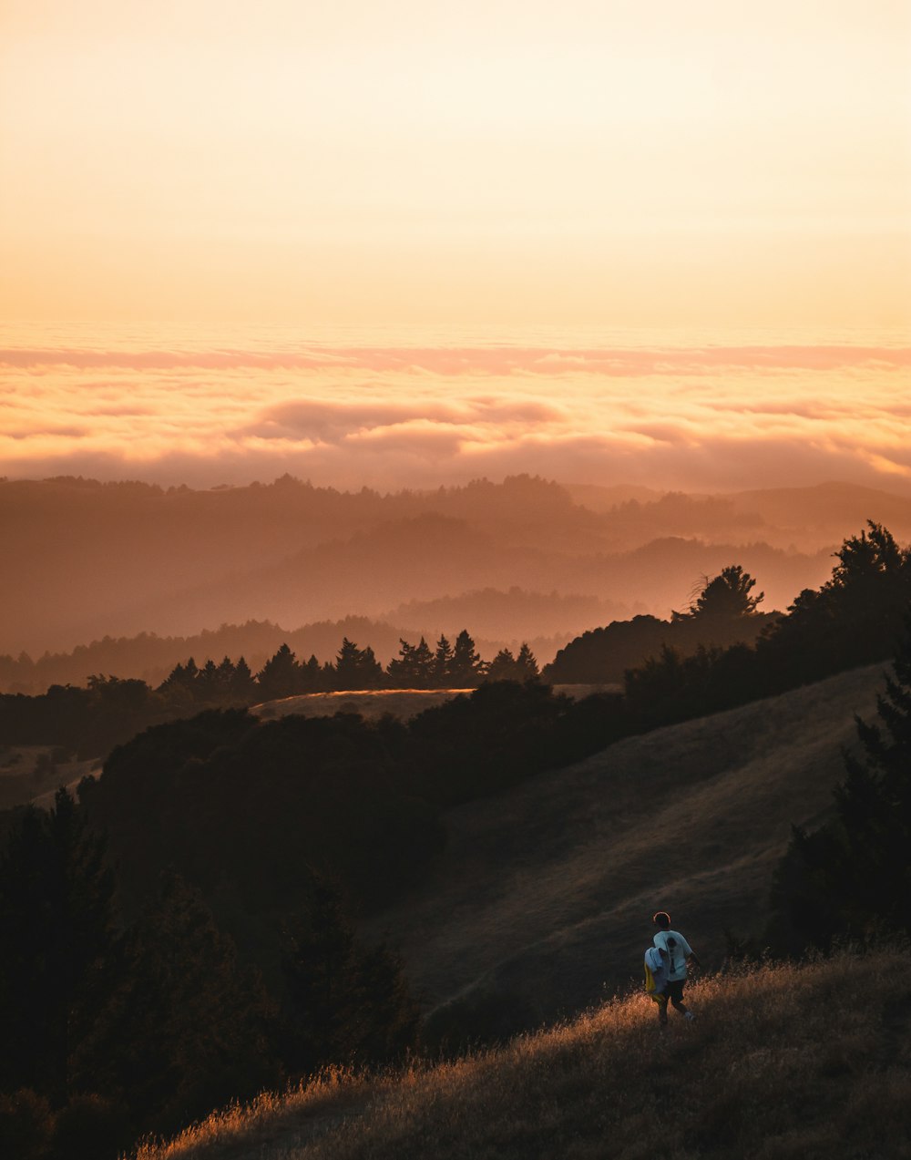 a person walking up a hill at sunset