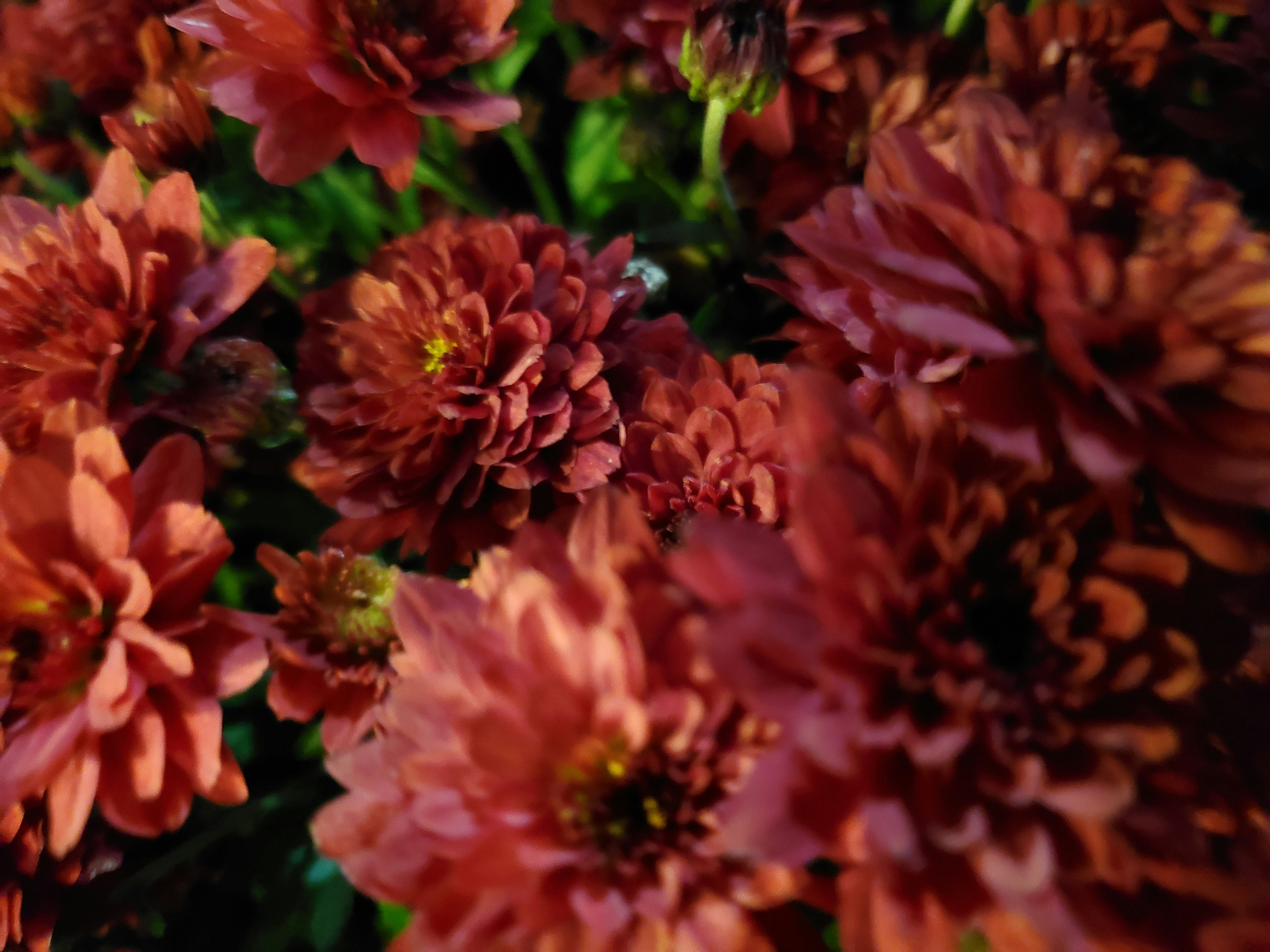 Photo by benjaminwhitaker