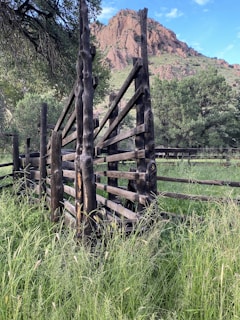A rustic wooden fence with a distinctive radial design stands among tall grass in a natural landscape. In the background, rocky hills rise against a partly cloudy sky, creating an earthy and serene atmosphere. The surrounding greenery consists of trees and shrubs, adding to the tranquility of the scene.
