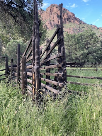 A rustic wooden fence with a distinctive radial design stands among tall grass in a natural landscape. In the background, rocky hills rise against a partly cloudy sky, creating an earthy and serene atmosphere. The surrounding greenery consists of trees and shrubs, adding to the tranquility of the scene.