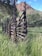 A rustic wooden fence with a distinctive radial design stands among tall grass in a natural landscape. In the background, rocky hills rise against a partly cloudy sky, creating an earthy and serene atmosphere. The surrounding greenery consists of trees and shrubs, adding to the tranquility of the scene.