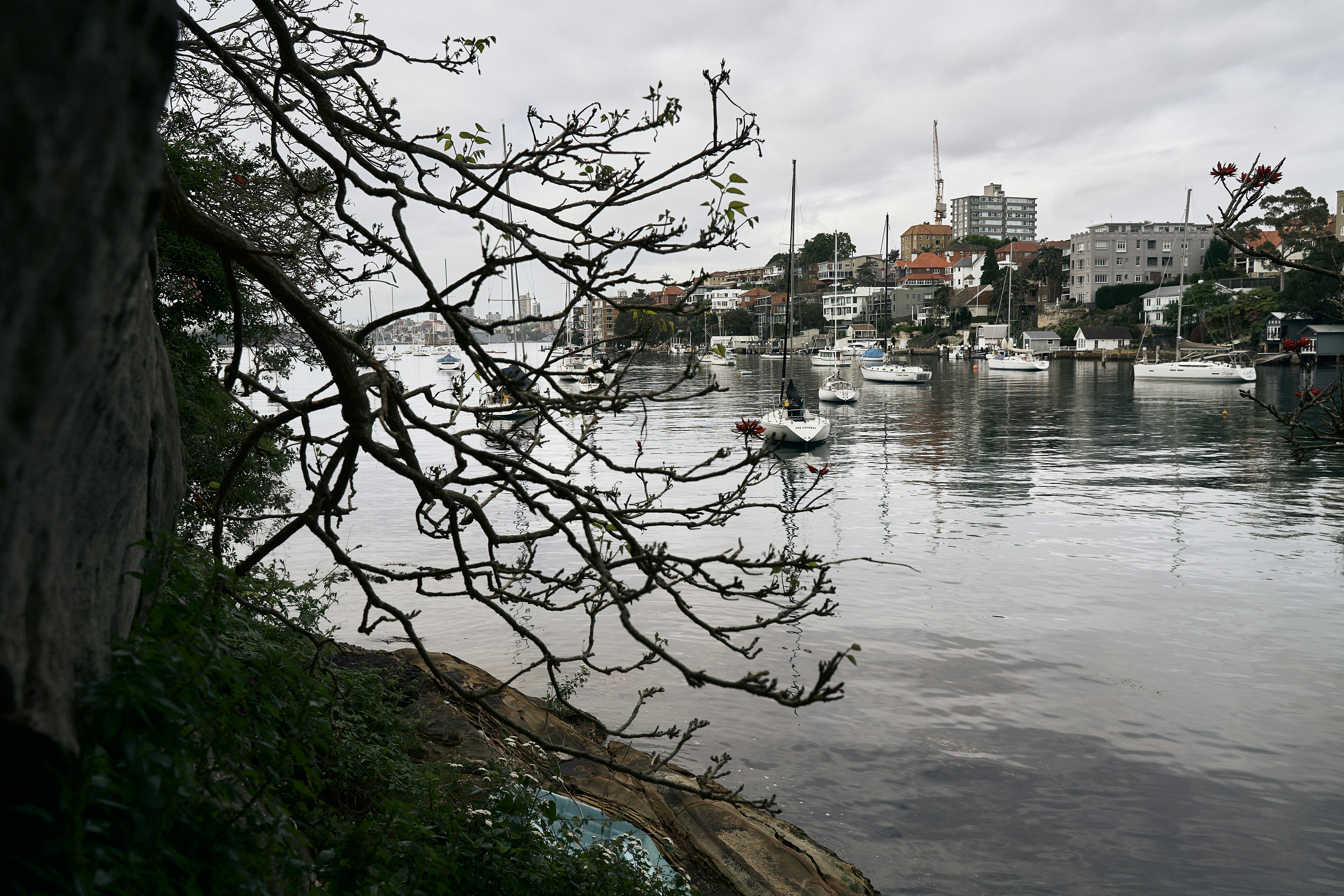 um corpo de água com um monte de barcos nele
