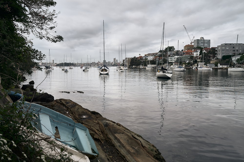 a body of water filled with lots of boats