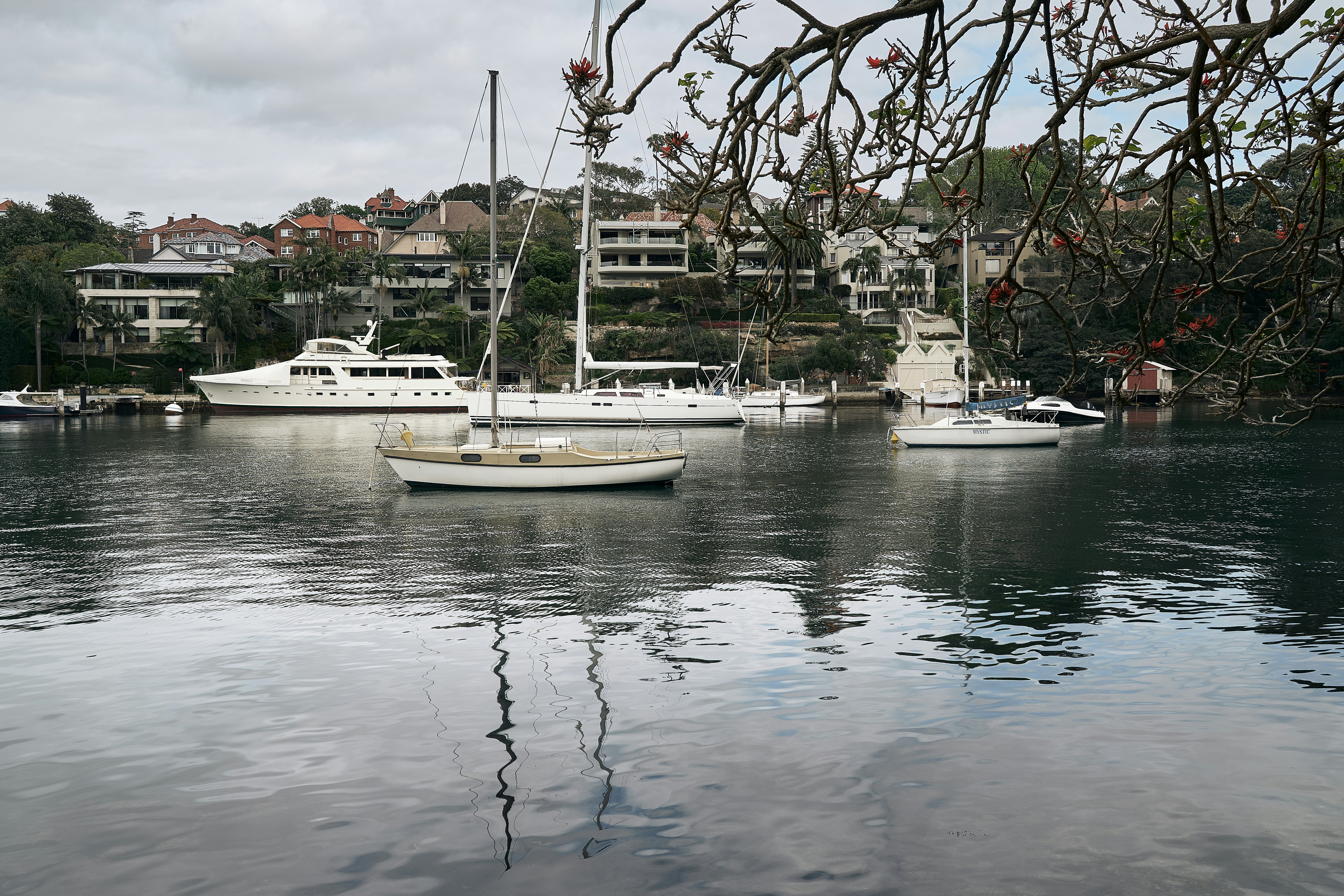 um grupo de barcos flutuando em cima de um corpo de água