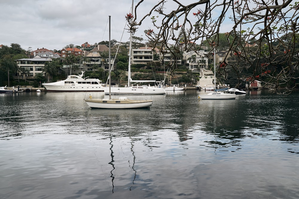 a group of boats floating on top of a body of water