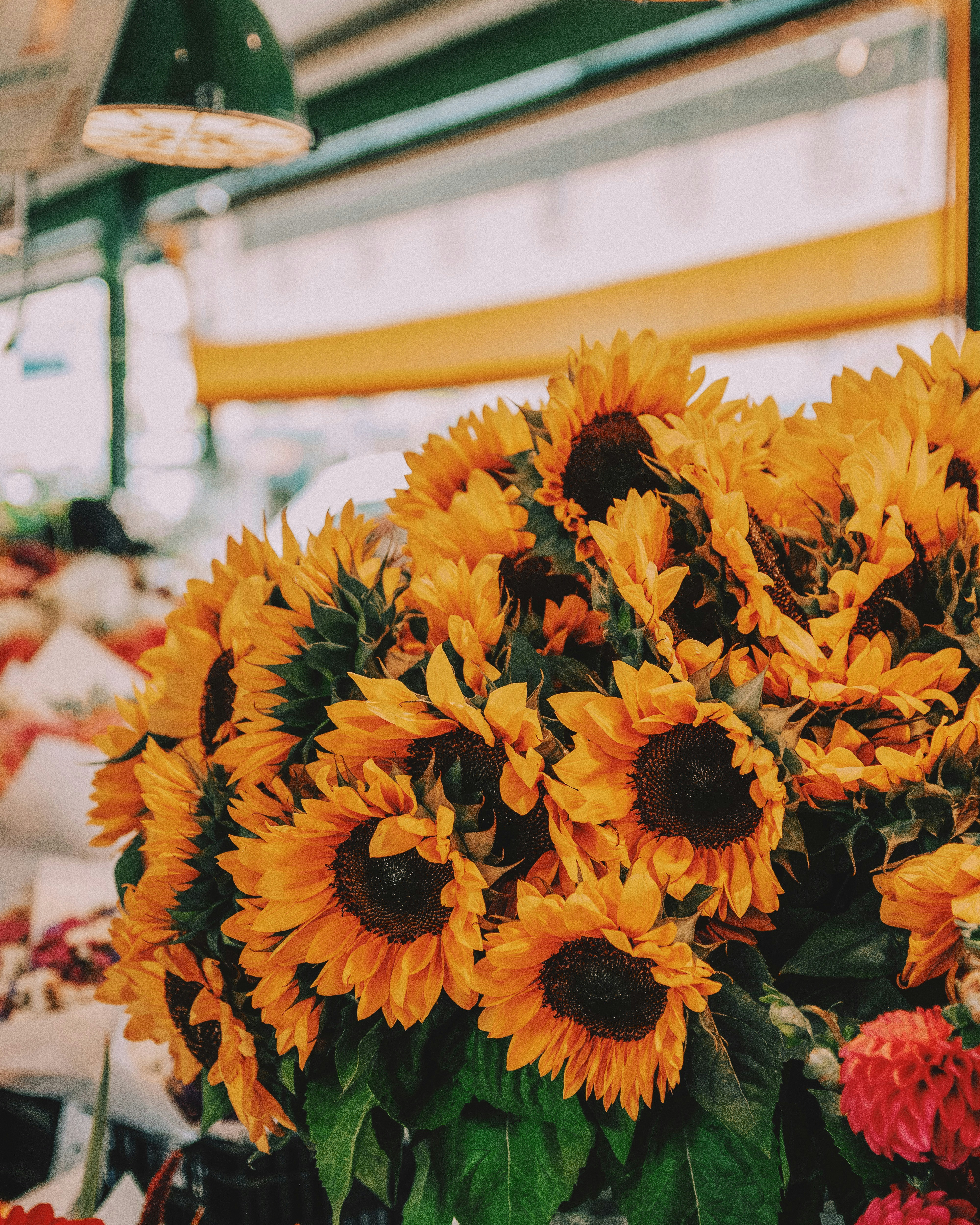 Photo by hesterqiang