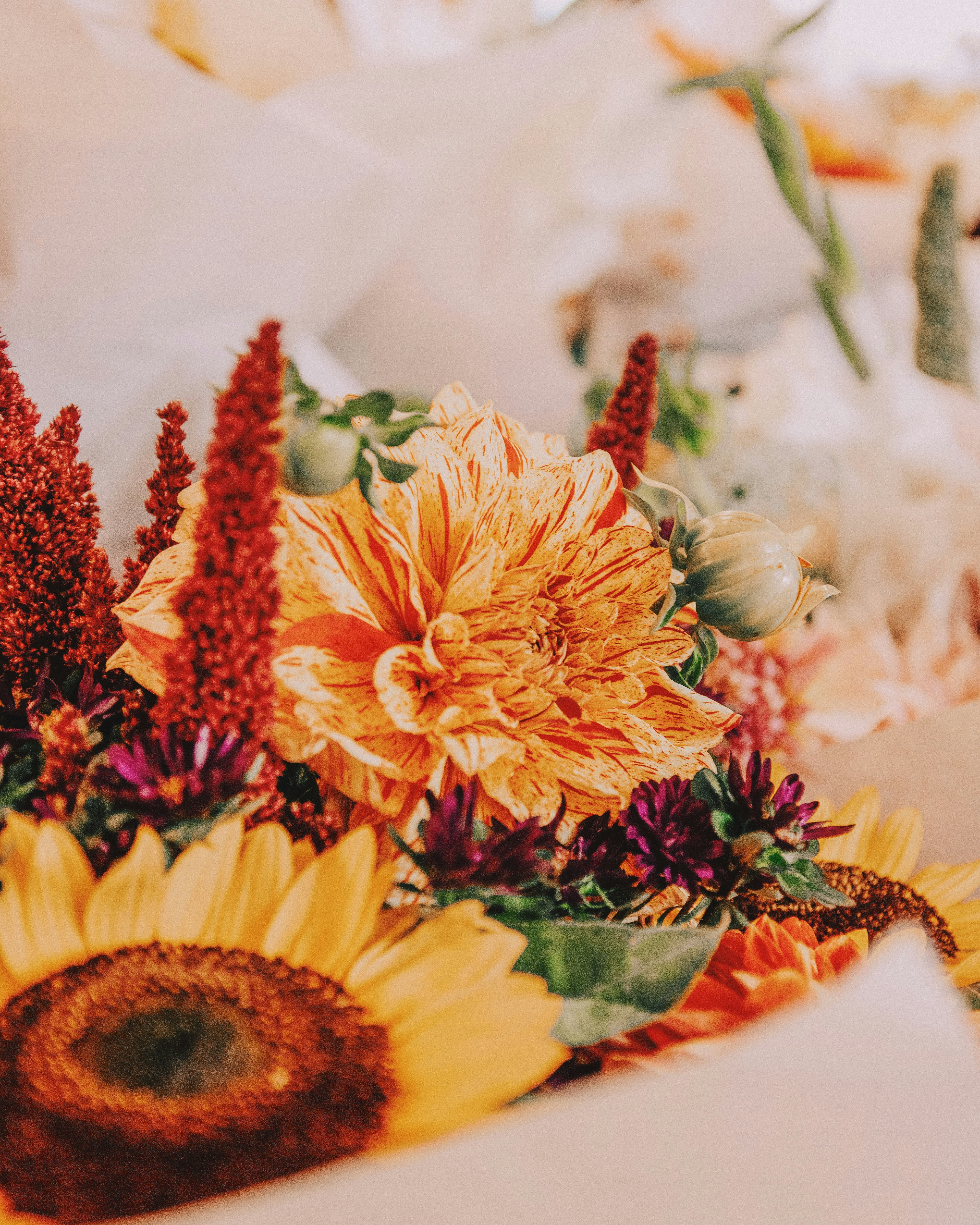 Photo by hesterqiang