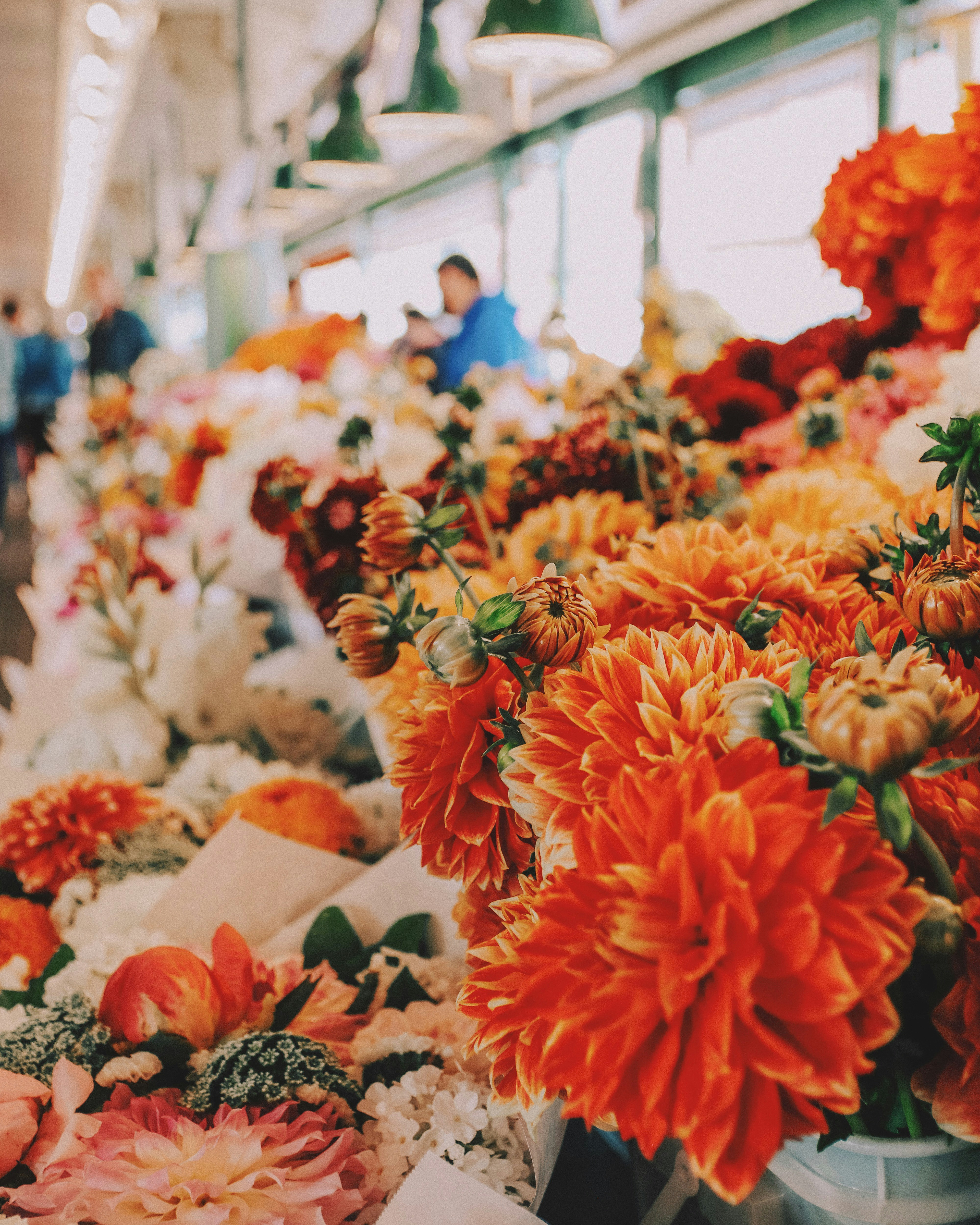 Photo by hesterqiang