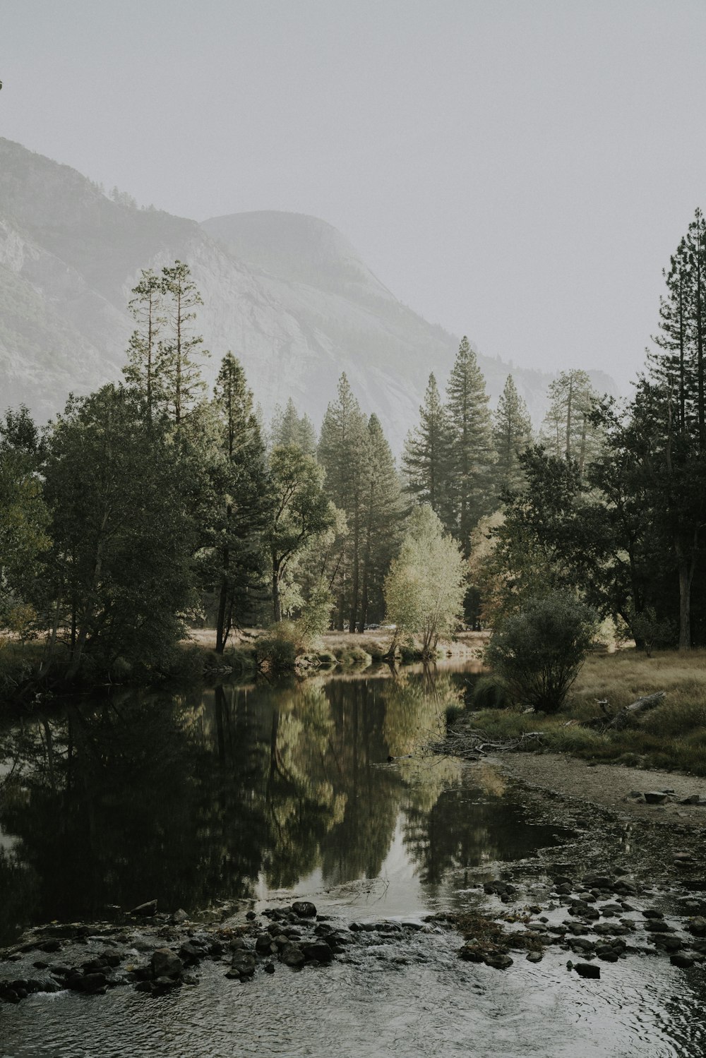 a river surrounded by trees with mountains in the background