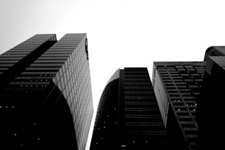 a black and white photo of tall buildings