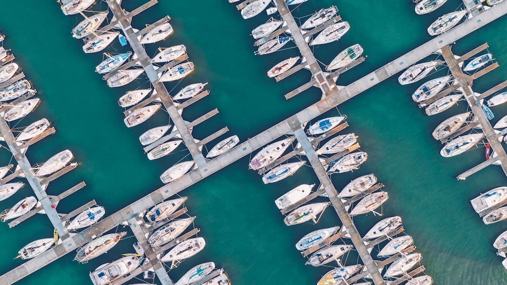 um monte de barcos que estão sentados na água