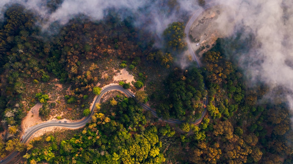 an aerial view of a winding road surrounded by trees