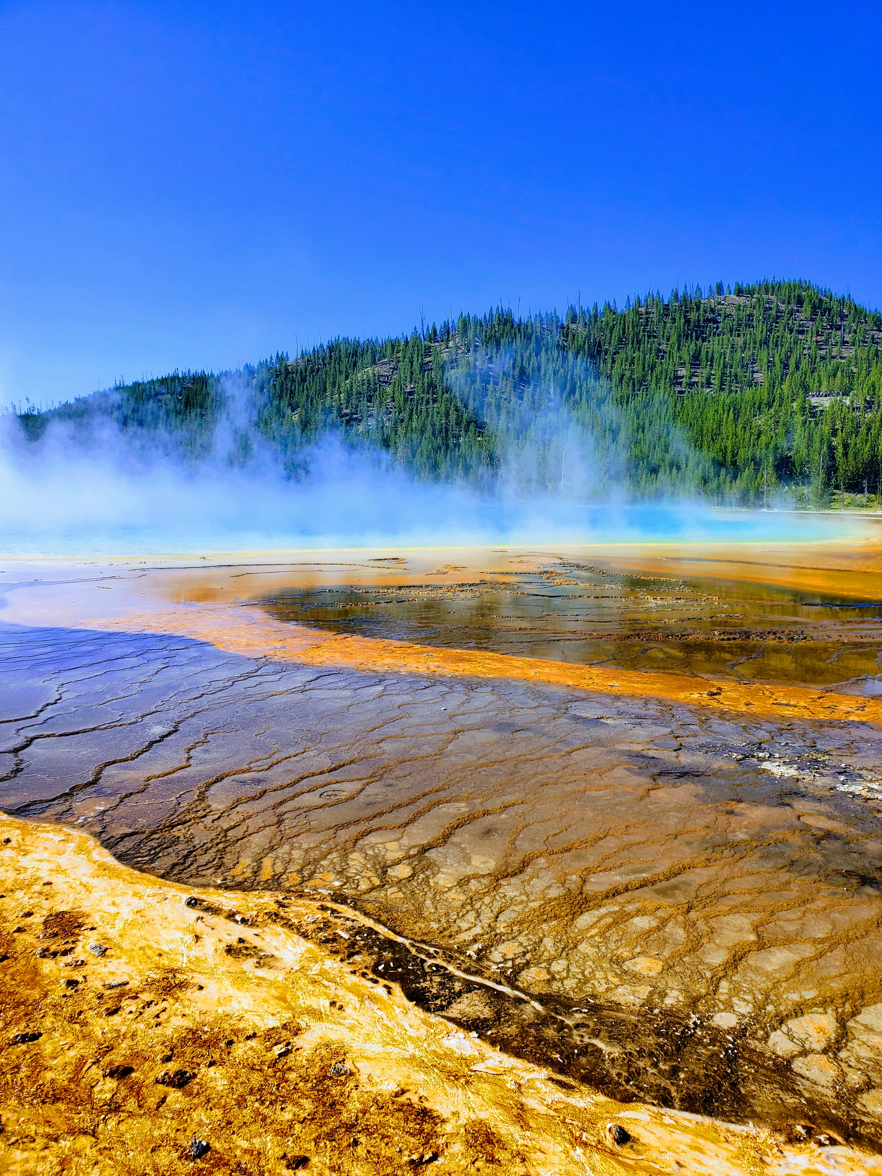 Photo by myheart2serve