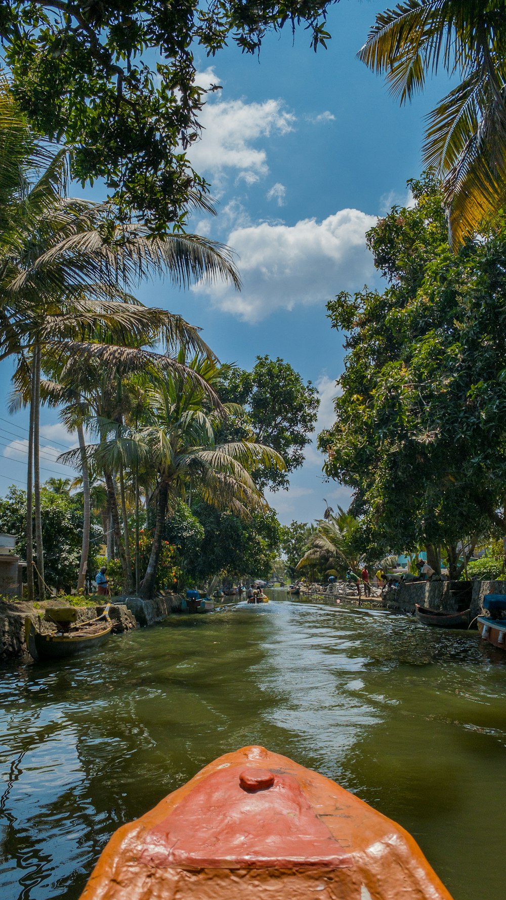 a boat traveling down a river surrounded by palm trees