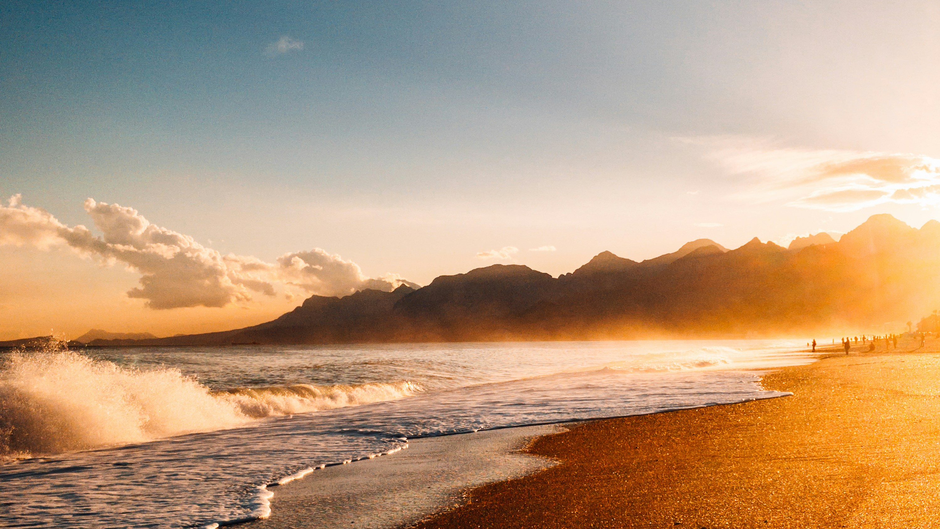 ratsDAO header image