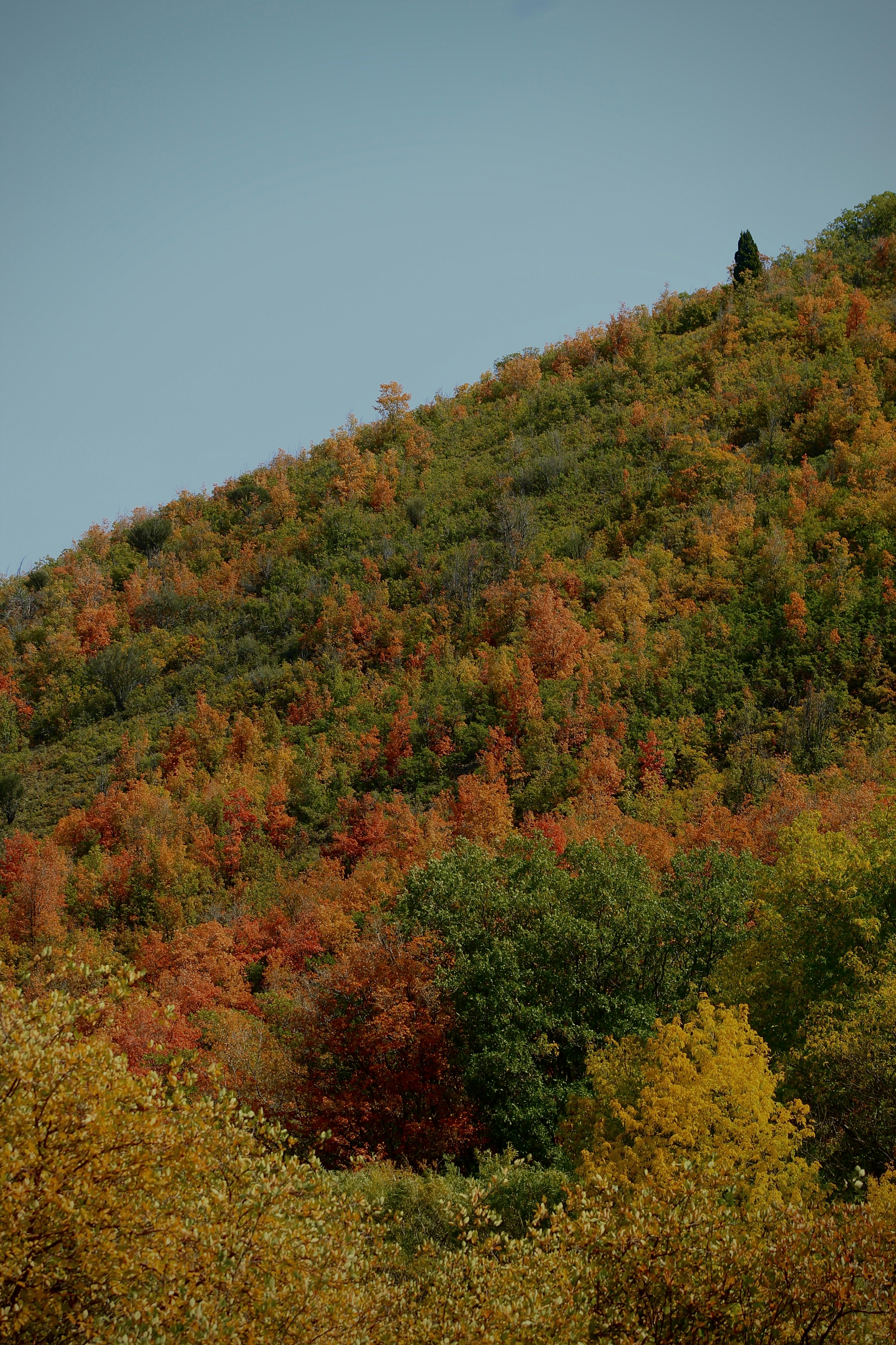 Emigrate to Switzerland WHC WHC Worldwide Healthcare Consulting