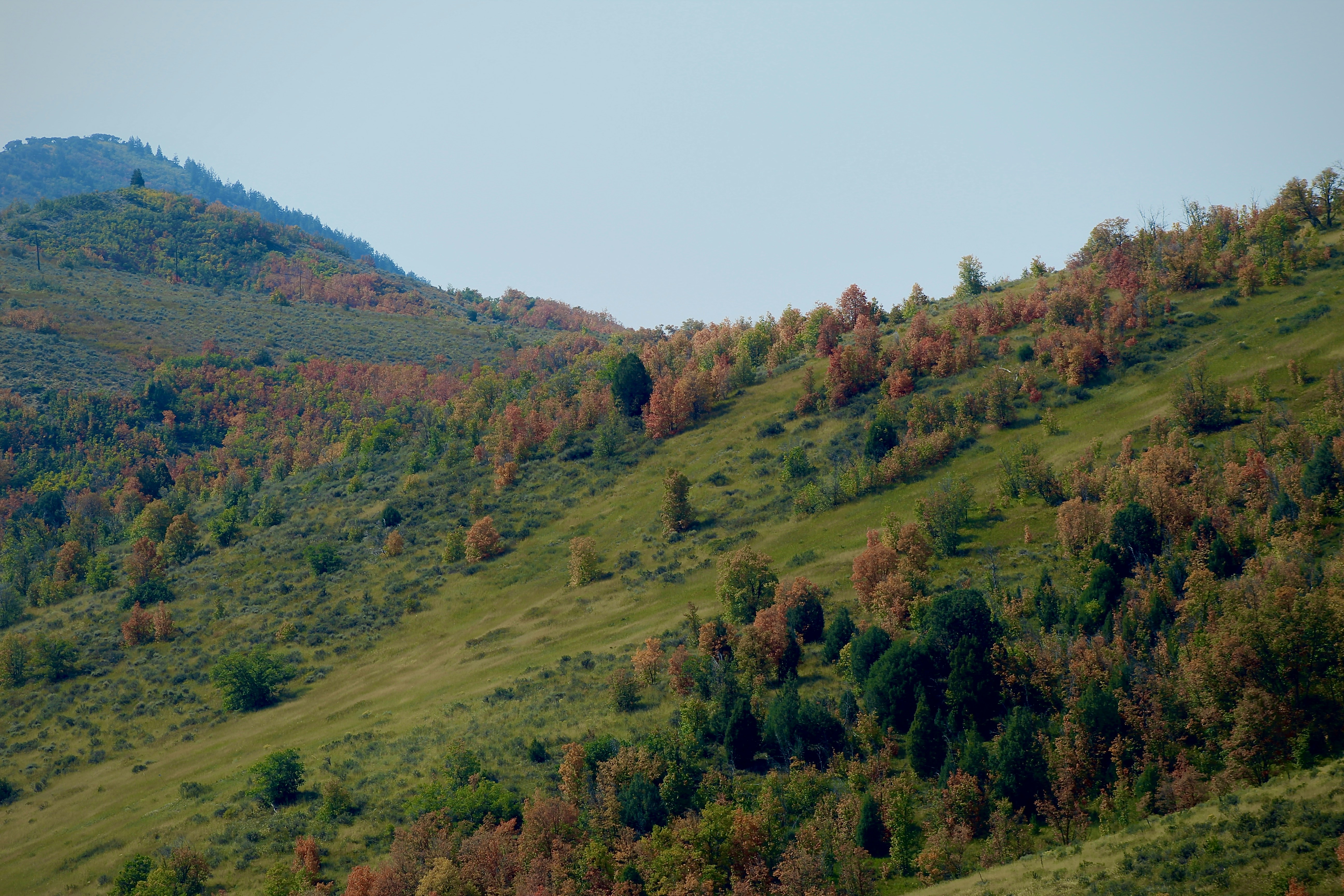 Photo by djburkephotography