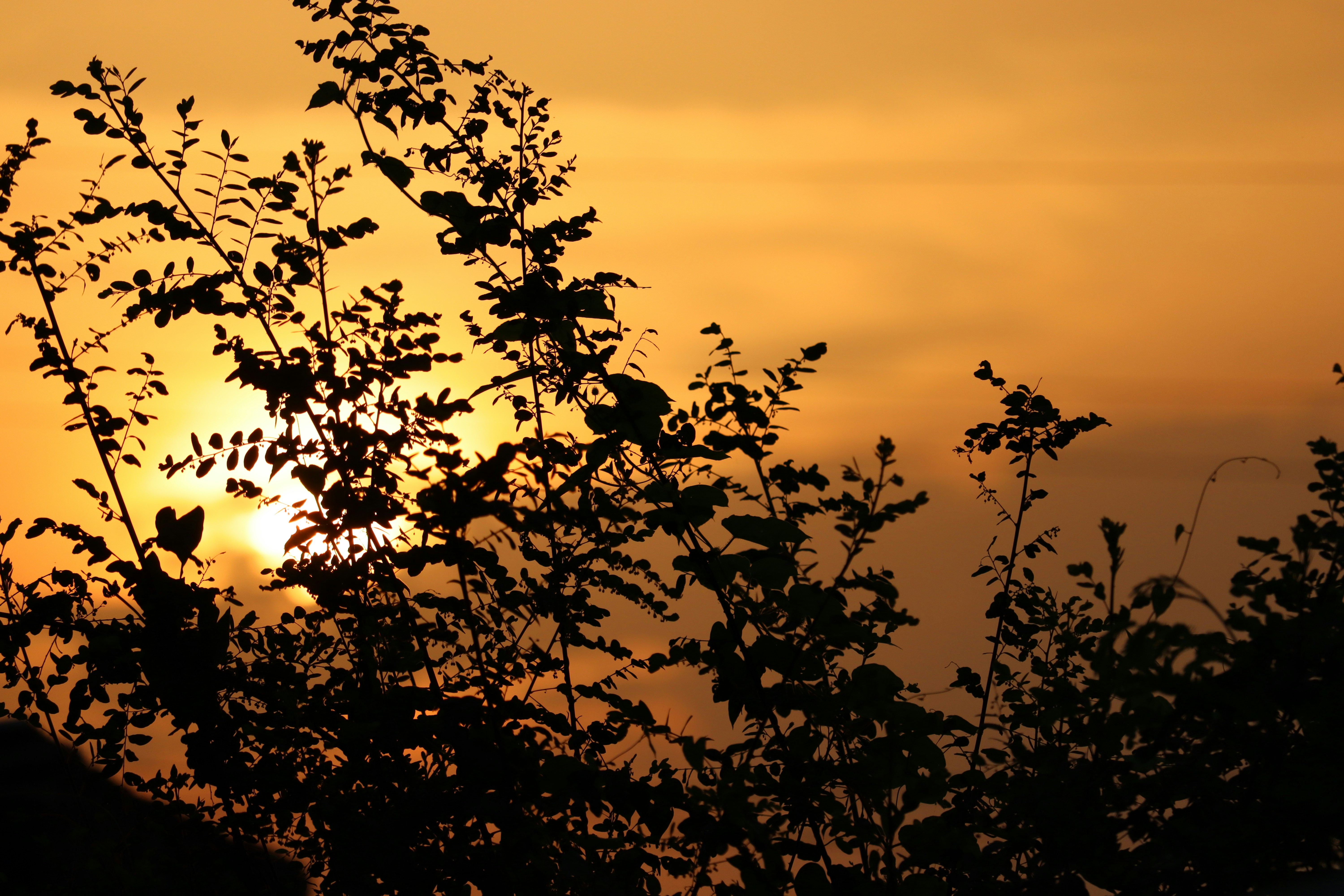 Photo by santhoshverma