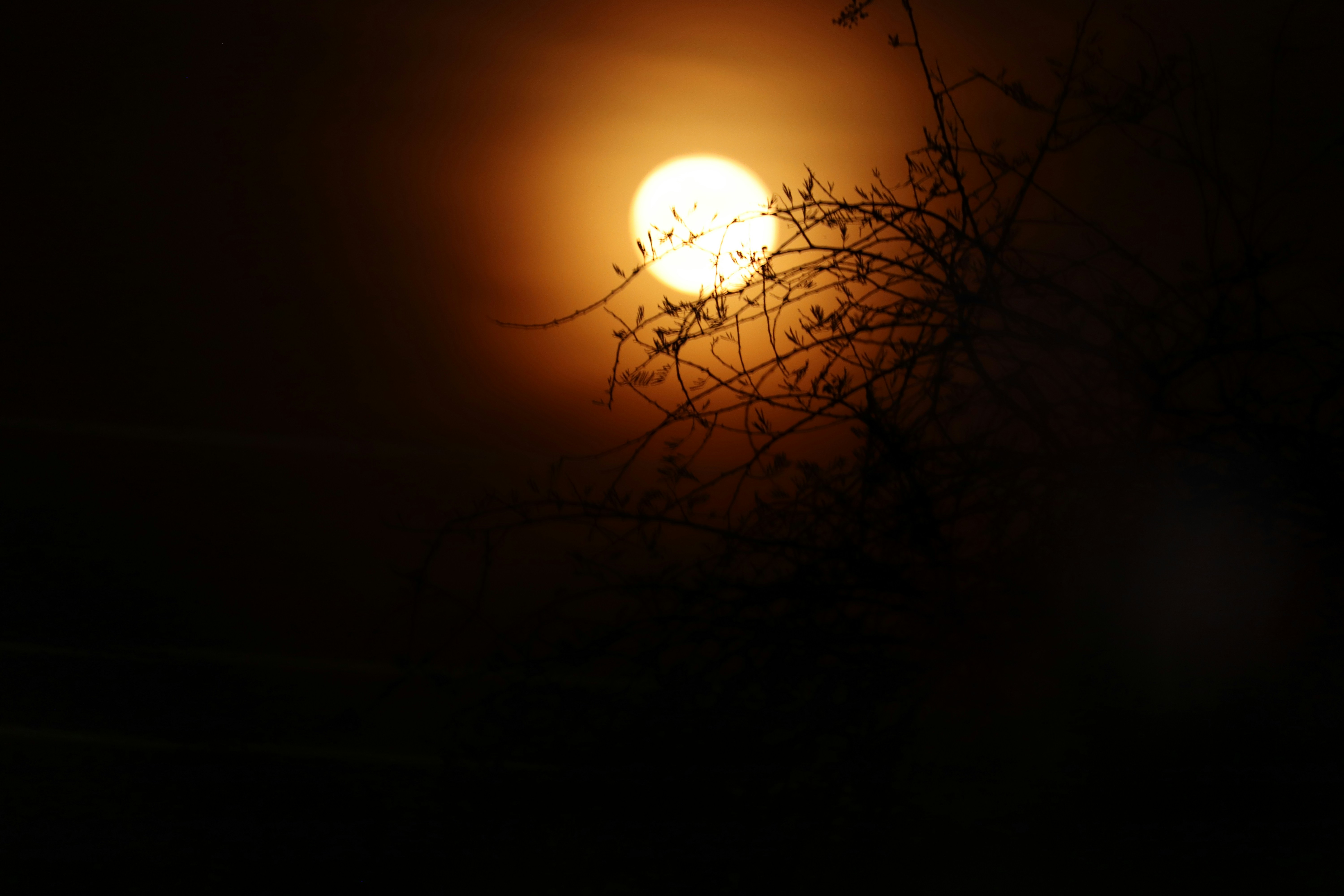 Photo by santhoshverma