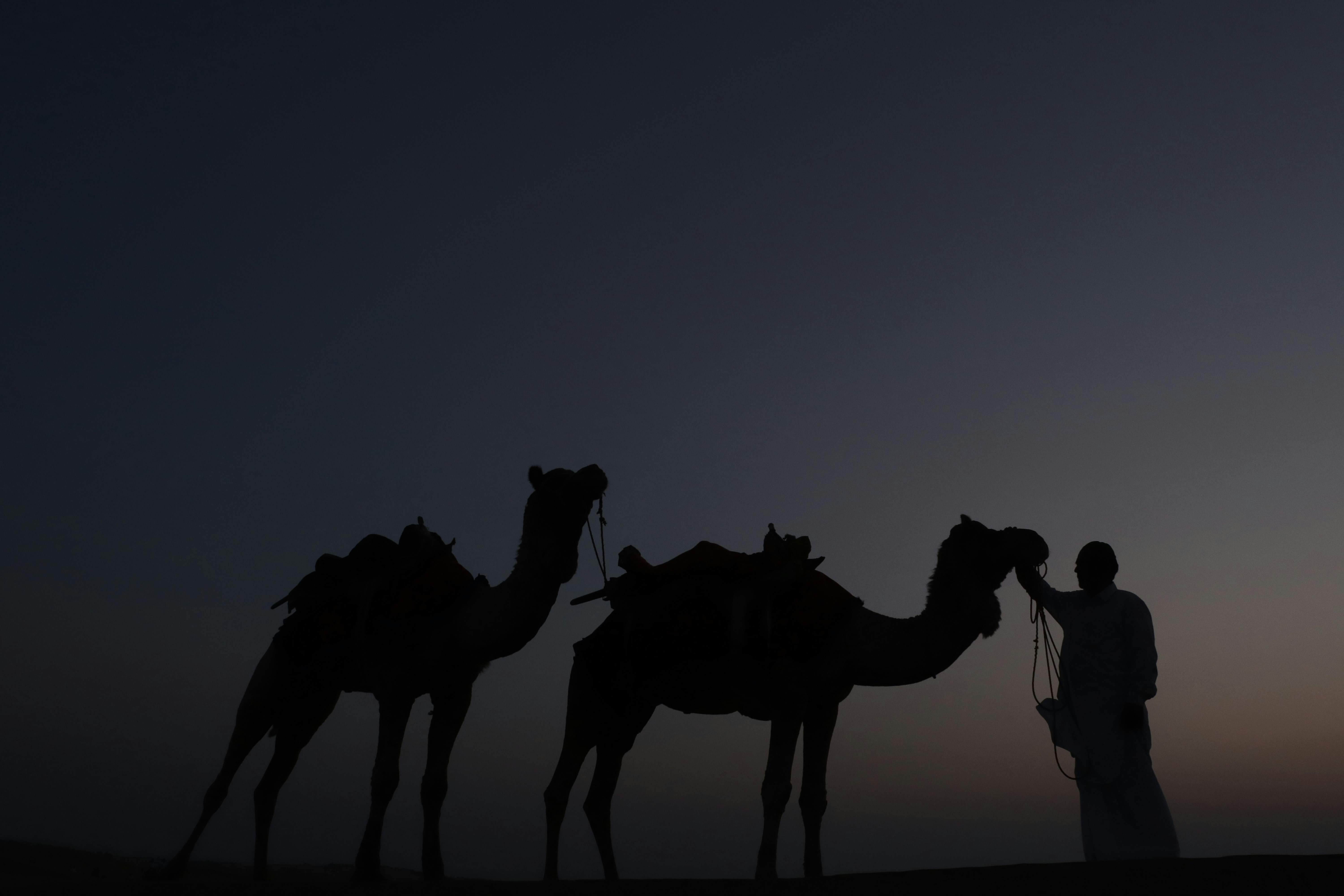 Photo by poojakalyan