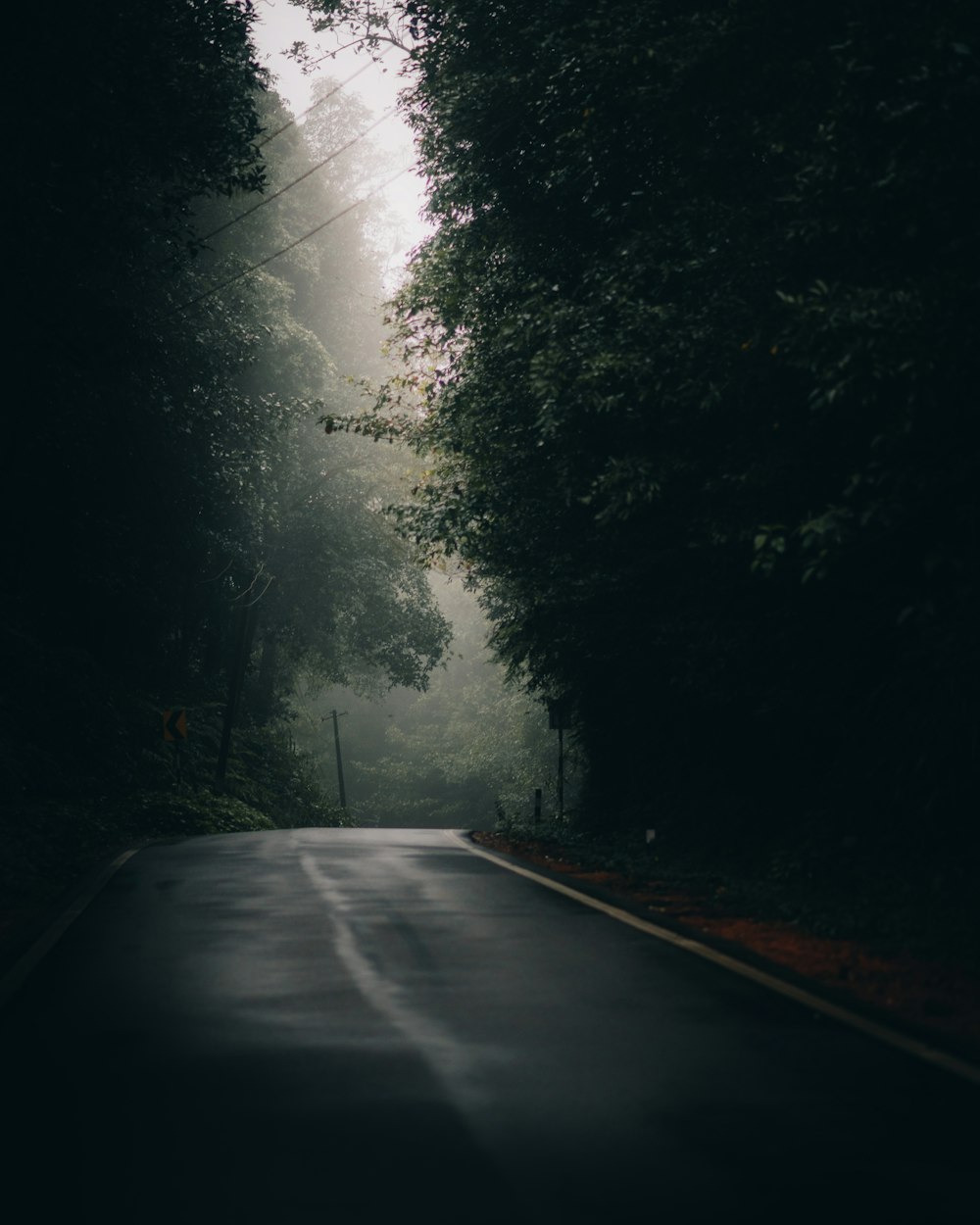 an empty road in the middle of a forest