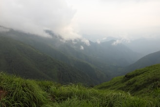 An interactive online tour screen featuring lush green landscapes and mountain views.