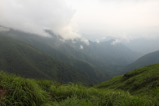 A serene landscape of Uganda's lush greenery and mountains.