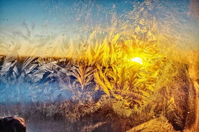 A textured frosted glass window with intricate ice patterns creates a natural abstract design as sunlight filters through, casting a warm golden glow. The contrast between the cool blue hues and the rich golden tones creates a visually striking image.