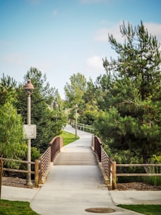 a wooden bridge over a small pond in a park