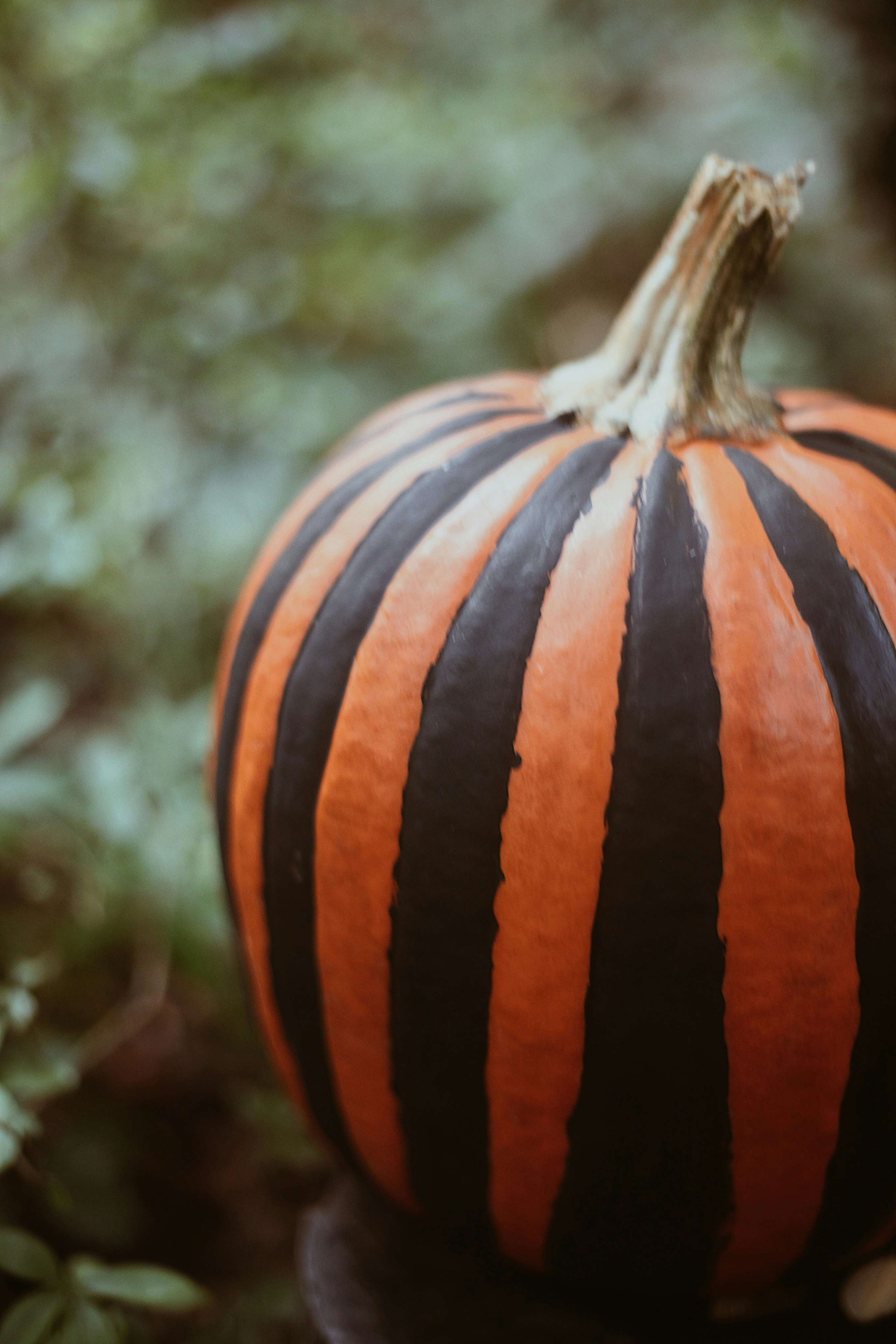 Photo by earthtokarly