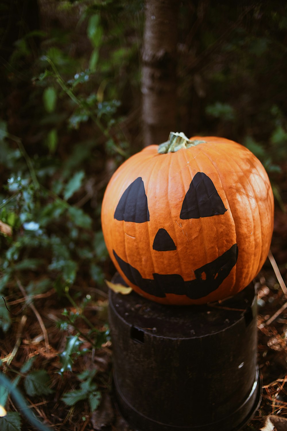 a pumpkin sitting on top of a barrel in the woods