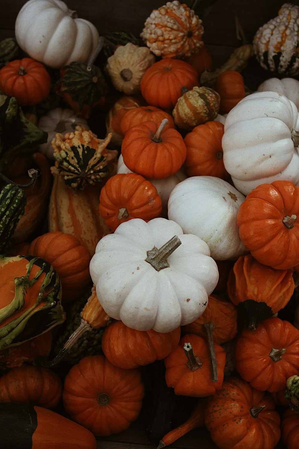 a pile of white and orange pumpkins and squash