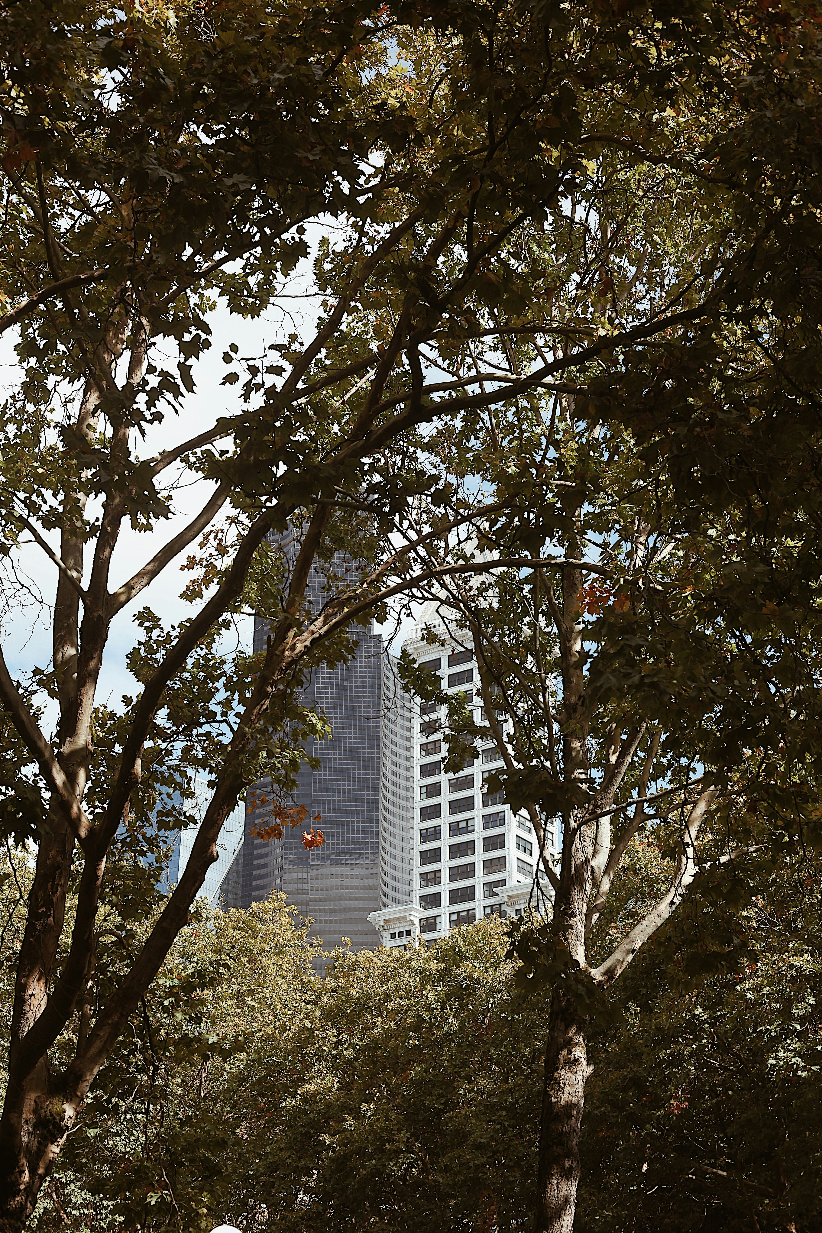 Photo by earthtokarly